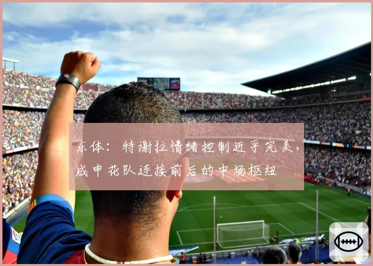 东体：特谢拉情绪控制近乎完美，成申花队连接前后的中场枢纽