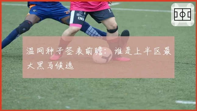 温网种子签表前瞻：谁是上半区最大黑马候选