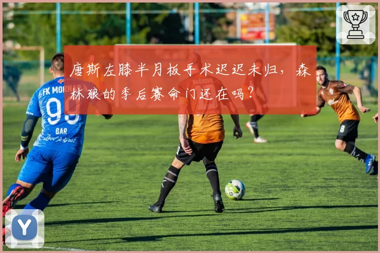 唐斯左膝半月板手术迟迟未归，森林狼的季后赛命门还在吗？