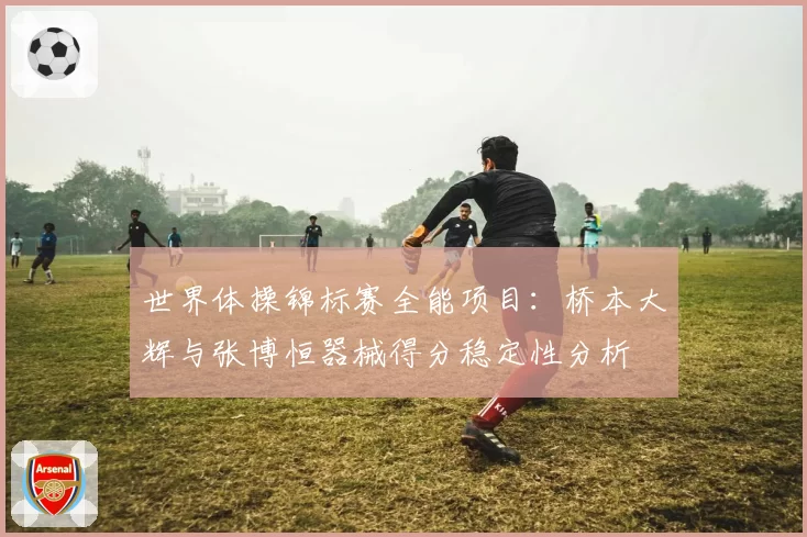 世界体操锦标赛全能项目:桥本大辉与张博恒器械得分稳定性分析