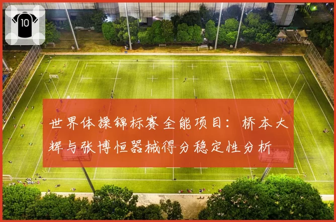 世界体操锦标赛全能项目：桥本大辉与张博恒器械得分稳定性分析