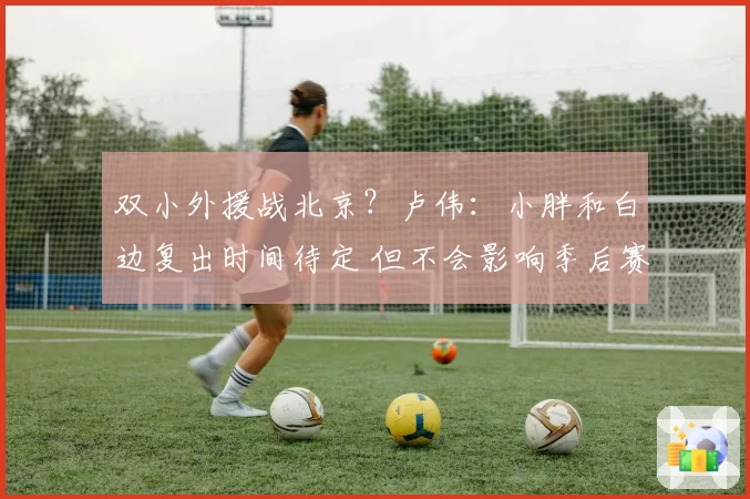 双小外援战北京？卢伟：小胖和白边复出时间待定 但不会影响季后赛